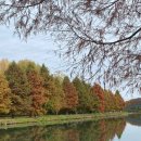 루체풀빌리지 이미지