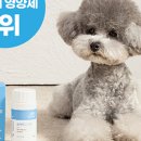 퓨어종합관리 이미지