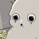 240929-1005 기록 (부제 : 방종의 한 주)