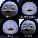 해피코알라