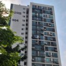 분당-216 이미지