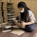 여왕벌 | 여왕벌 250마리 무료로 드립니다 (여왕벌 나눔 이벤트 후기)