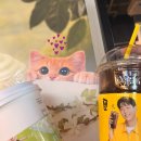 트리플치킨 | 송도 트리플스트리트 메가커피 양념치킨 내돈내산 후기, 오늘의 행운냥 없다고?