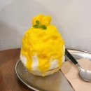 블루포트 성신여대점 | 6월 일상 | 나도 이제 겁 없는 으른