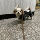 청해라이스