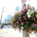 서울구로기계공구상가 이미지