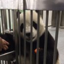 짱구김밥,토스트 이미지