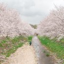 성북2리마을회관 이미지