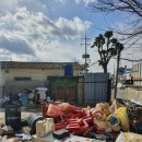 신동아(아) 이미지