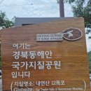 GS25포항보경로점 | 포항 내연산, 보경사에서 소금강전망대까지