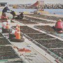 대동동물병원 이미지