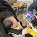 더프라임아파트 앞 보도 | [다이치 더 프라임 스카이 유모차] 내돈내산 실사용 솔직후기