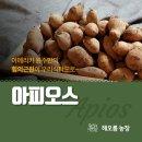 태양과 같은 열정으로 키운 해오름농장 [아피오스]