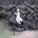 J0092 이미지