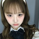 서아 Daum카페