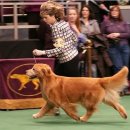 바로 무브먼트 이미지