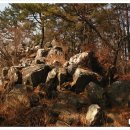 사촌주차장 이미지