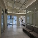 홍익메디칼동물병원 | 천안동물병원에서 추천한 강아지 눈 시력검사 안과전문 병원 아이온동물메디컬센터 방문후기