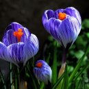 현도중학교 이미지