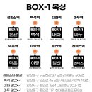 BOX-1복싱야당 이미지