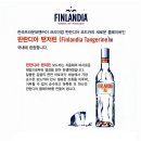 핀란디아 탠저린 Finlandia Tangerine 프리미엄 핀란디아 보드카 이미지