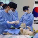 블룸비스타호텔앤컨퍼런스주식회사 이미지