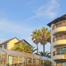 제주 하이맘 키즈 가족 실버 이미지