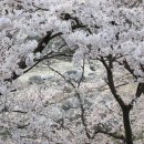 지리산 팔베개 이미지