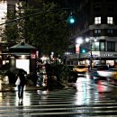 morning soft 이미지