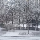 장곡정형외과의원 | 몸이 좀 뻐근해져서 장곡 정형외과 갔다 왔어요~