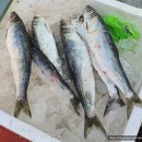 승일분식 이미지