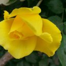 오며가며 이미지