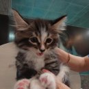 마린숲 동물병원 이미지