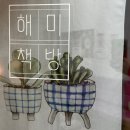 서산 해미책방 : 작고 소중한 우리동네 북카페 , 하이케 팔러 100인생 그림책 리뷰