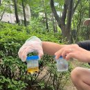 SNU반려동물검진센터 | 뿌뿌의 첫 건강검진 후기 ‘SNU 반려동물 검진센터’