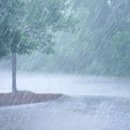 임의규-2 이미지