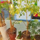 아주종합상가 이미지