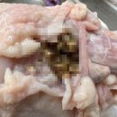 하림생닭 이미지