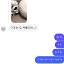 서울 girl…