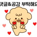 춘천댐촌닭집 평창점 이미지