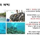 디다이브