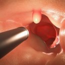 서울태내과의원 이미지