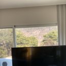 스테이외송 이미지