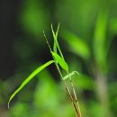 소향공원 이미지