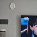 에스카 - 안산시 단원구 광덕4로 70 | 신혼집 거실 벽시계 추천, 오덴세 에스카 오발 벽시계 후기