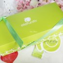 플라이앤디자인