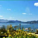 가조도펜션 이미지