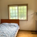 나무이야기 펜션 리솜포레스트 이미지