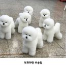 메드서비스 이미지