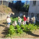 숲속늘푸른어린이집 이미지